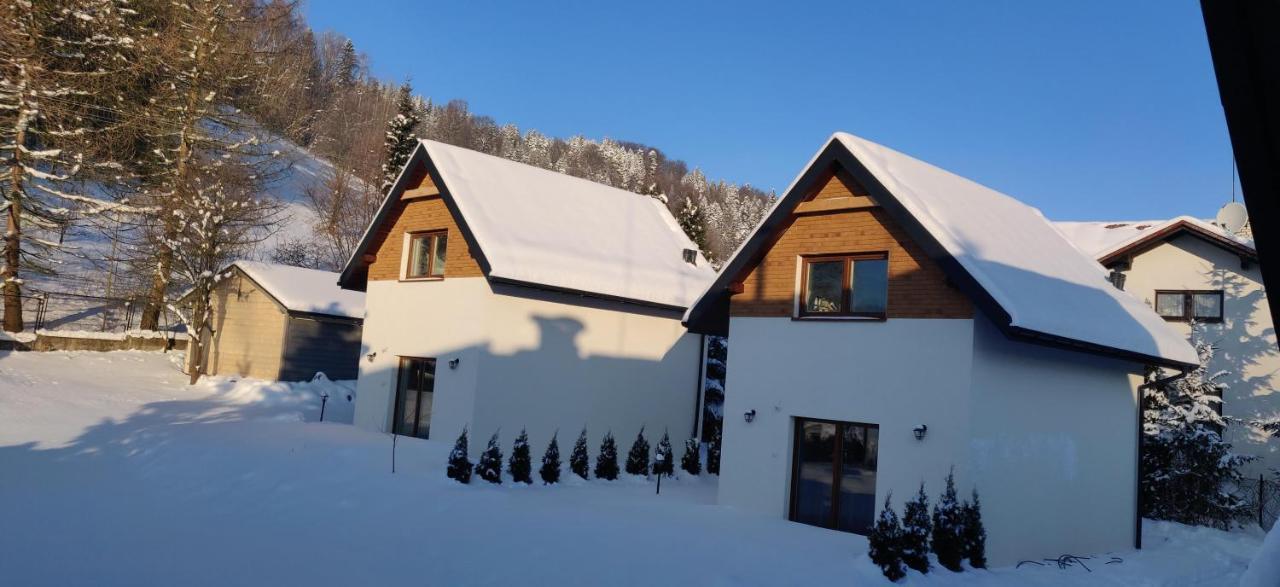 Beskid Ski Villa Wisła Kültér fotó