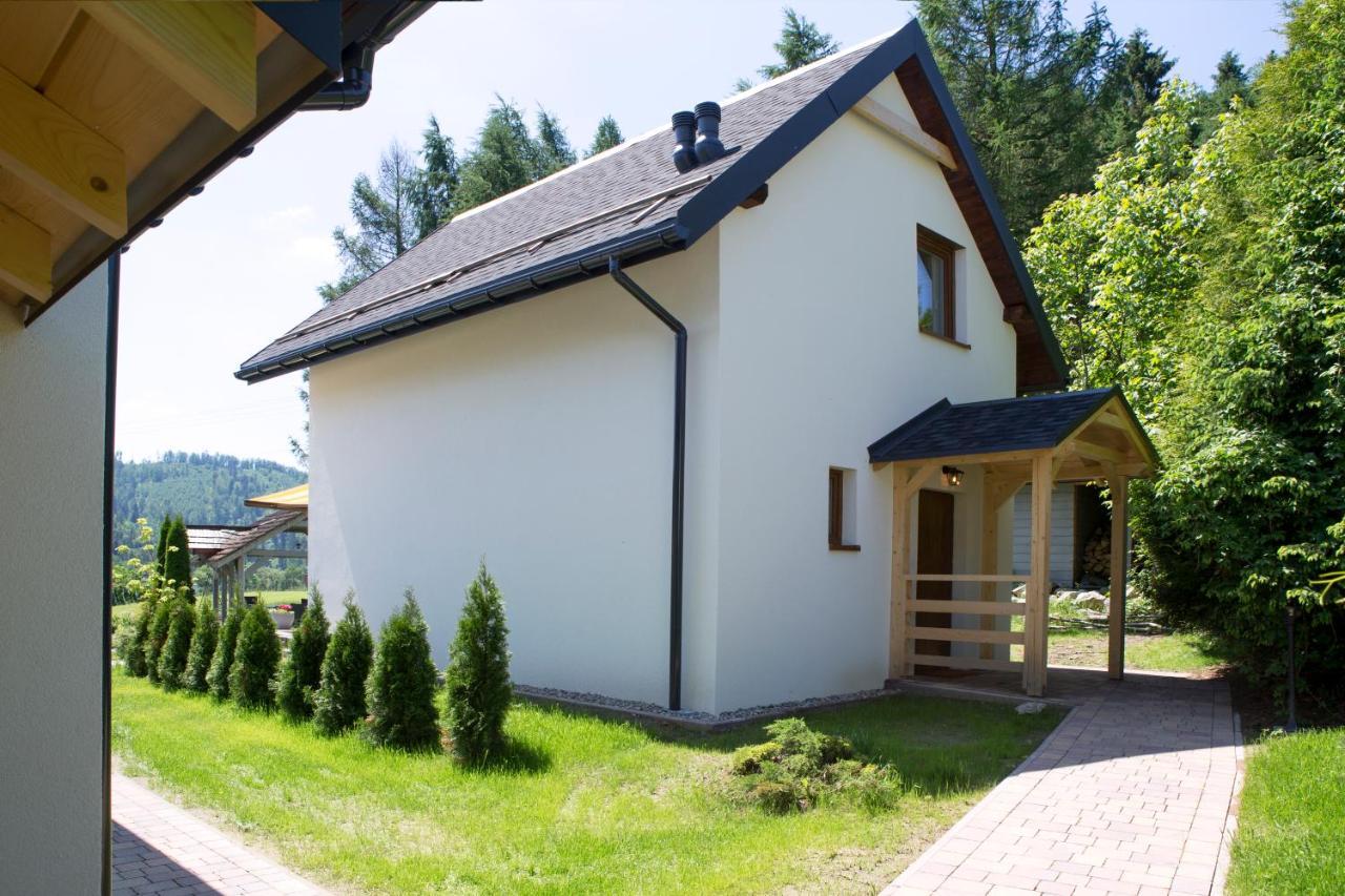 Beskid Ski Villa Wisła Kültér fotó