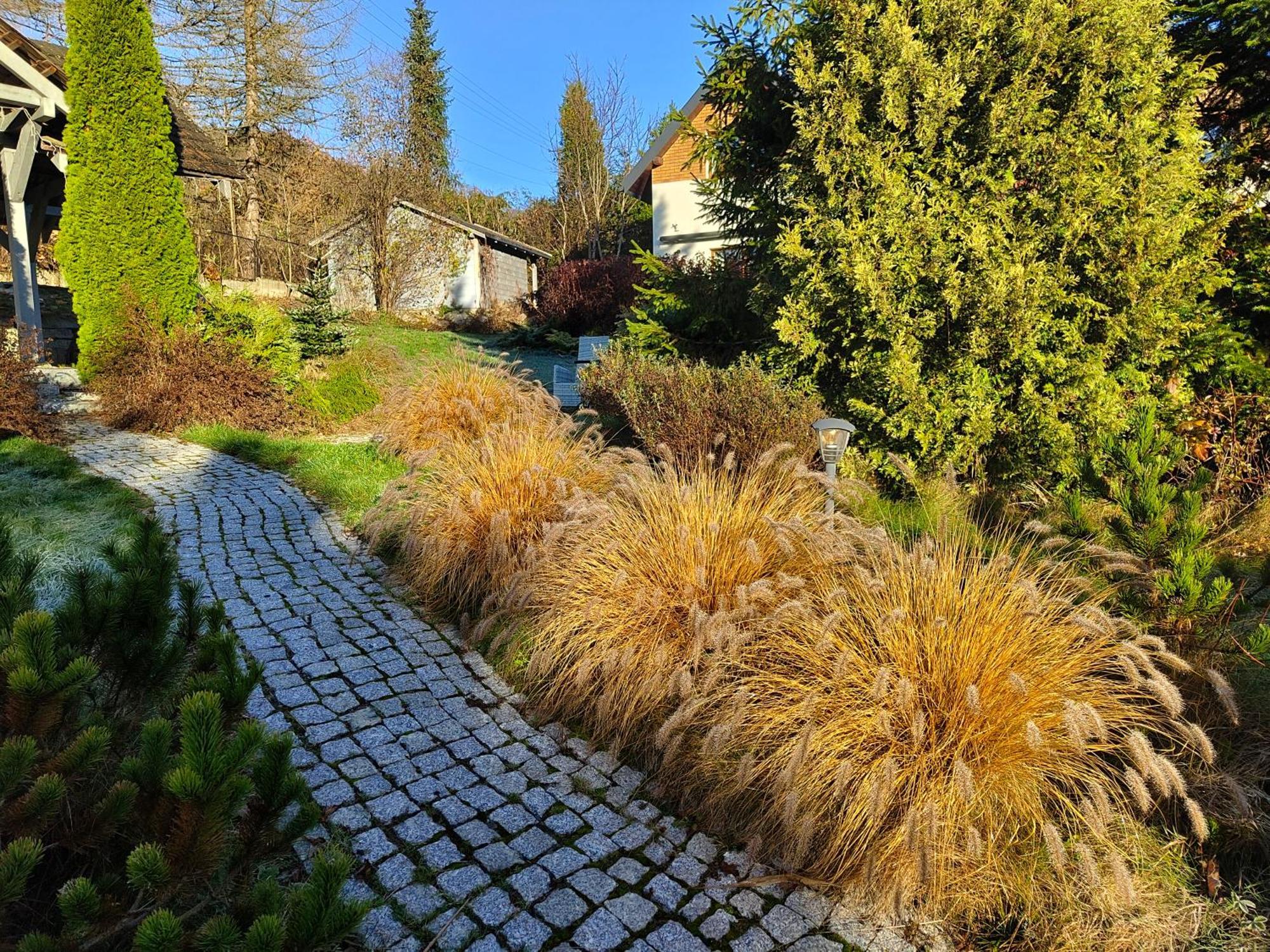 Beskid Ski Villa Wisła Kültér fotó