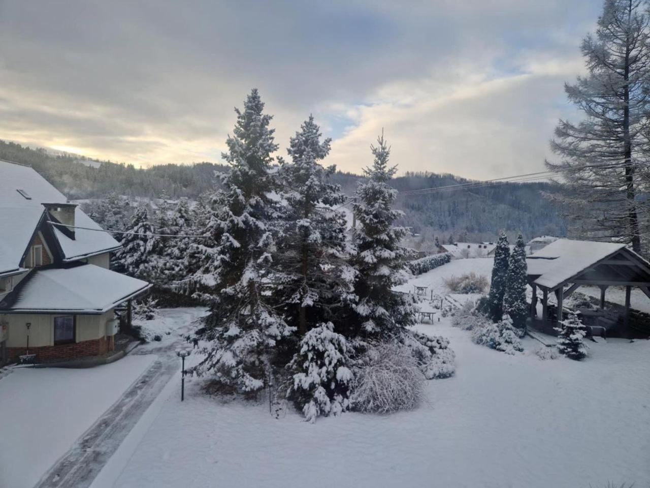 Beskid Ski Villa Wisła Kültér fotó