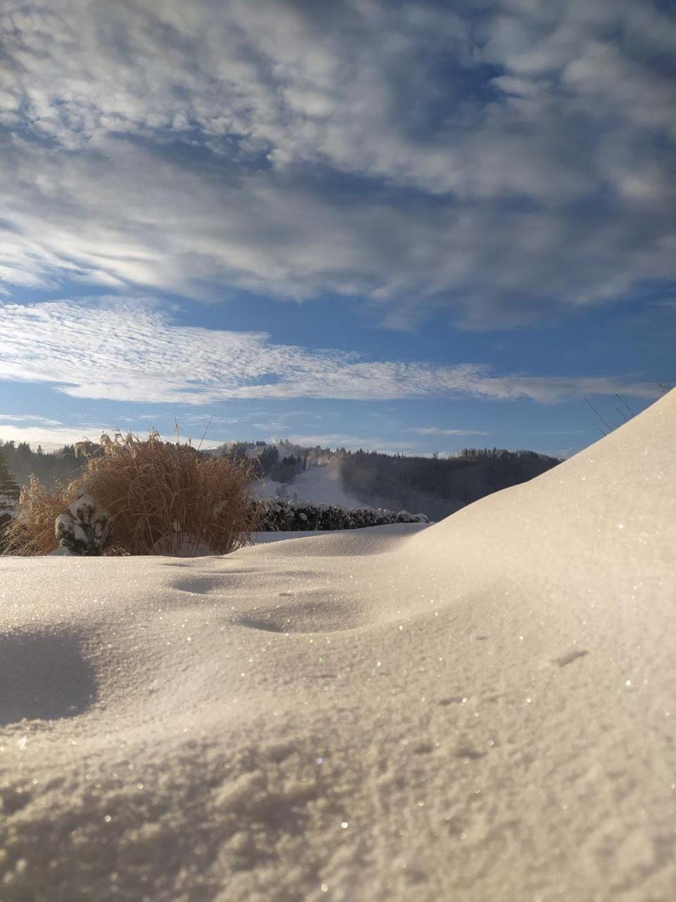 Beskid Ski Villa Wisła Kültér fotó